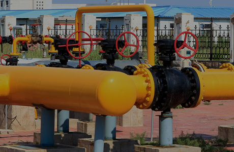 De groepsmaatschappij heeft een productievergunning verkregen voor industriële producten